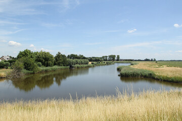 a beautiful creek with reed beds and willows in the dutch countryside in zeeland