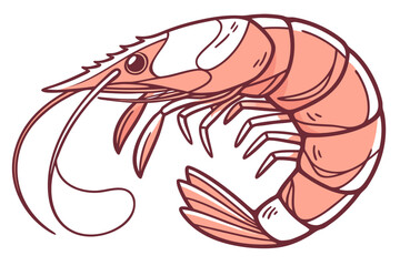 shrimp vector illustration