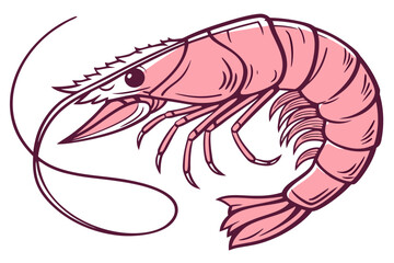 Fototapeta premium vector illustration of shrimp