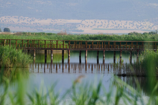 Tranquil landscape of Tablas de Daimiel National Park