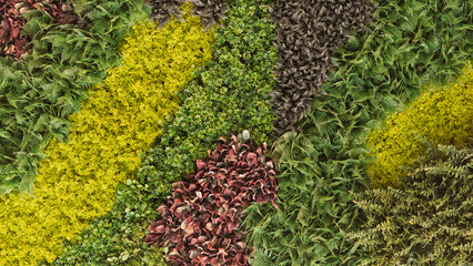 Textura hecha con plantas de diferentes formas y colores