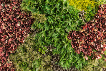 Textura hecha con plantas de diferentes formas y colores