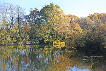 Lake in Decoy Country Park, Devon in Autumn	