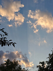 Golden Sunset Rays Through Clouds with Silhouetted Trees