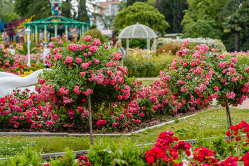 Fototapete bei efototapeten.de bestellen   