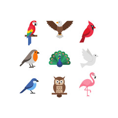 Obraz premium Flat Vector of Assortment of colorful birds illustrations