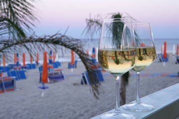 A glass of white wine with a view of the sea and palm trees.
On the seashore. Coastal atmosphere.