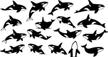 Orca Whale Silhouette Vector Art: Killer Whale Icon Set Graphics
