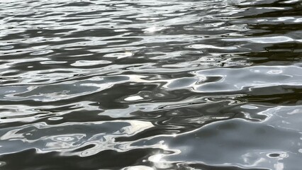 Scenery surface of pond illuminated by sun at summertime. Calm view on sea with small waves at sunny day. Beautiful summer nature landscape. Concept of tranquility scene. Slow motion