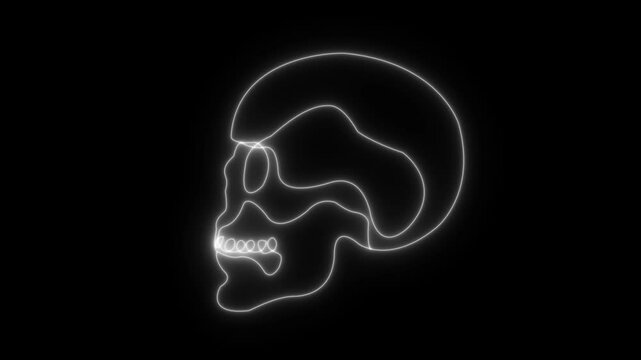 Abstract glowing Human Skull Continuous One Line . Skull Outline Drawing Line Art. Human Skull .