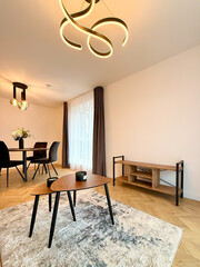 modern luxury dining room interior, 3d render