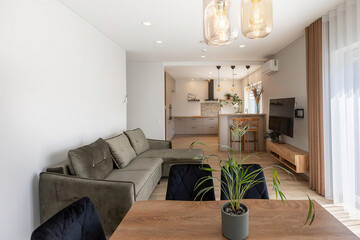Modern luxury apartment interior in minimal scandinavian style, 3d rendering
