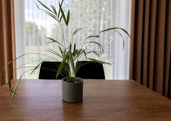 modern luxury dining room interior, 3d render
