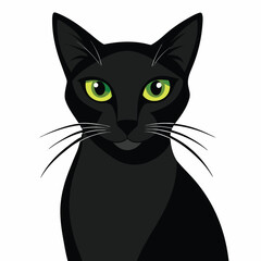 Obraz premium A sleek black cat gazing intently, conveying mystery, elegance, and keen focus.