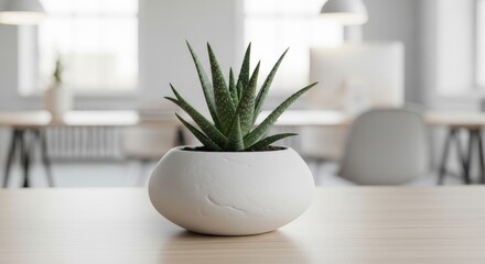 Minimalist Aloe Vera Plant Arrangement - Simple, serene, growth, purity, tranquility. A small aloe vera plant in a white pot symbolizes these concepts