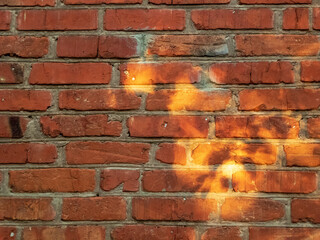 Rustic Red Brick Wall Illuminated by Streaks of Golden Sunlight