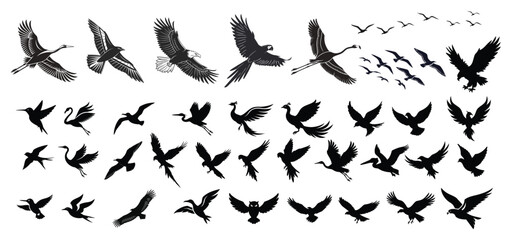 Flying birds silhouettes vector illustration set of various bird species in flight black and white design,