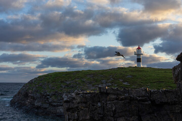 Bukkekjerka, Andøy, Vesterålen, Nordland, Norway
