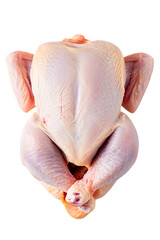 Whole raw chicken presented against a stark poultry uncooked