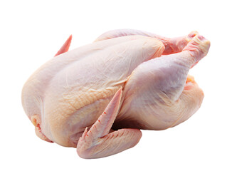 Whole raw chicken presented on a poultry meat 