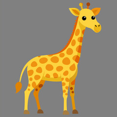 Cute zebra cartoon animal character