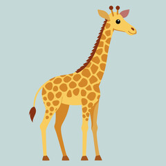 Obraz premium Cute zebra cartoon animal character