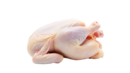 Whole raw chicken with pale skin on poultry bird