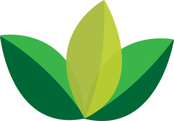 green leaf isolated on white