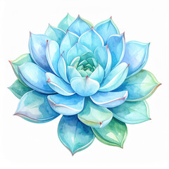 Aquarell Sukkulente – stilisierte Pflanze als handgemalte botanische Illustration