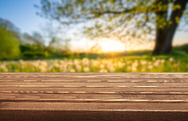 Sunlight filters through trees over a wooden table in a peaceful outdoor setting during early...