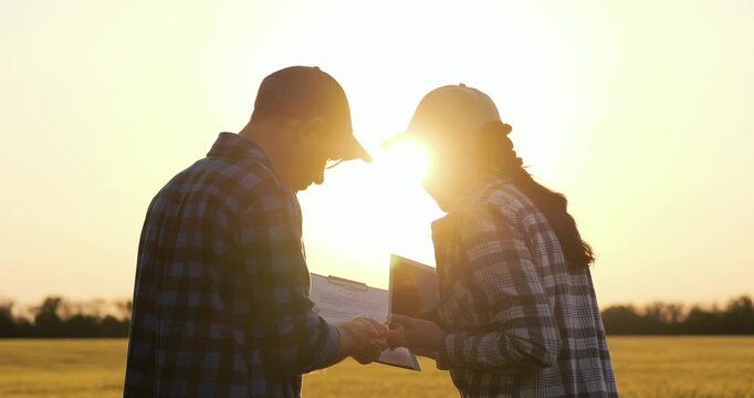Farmers in golden wheat field at sunset seal partnership with handshake gesture. Farmers exchange firm handshake on harvest terms. handshake symbolizes unity and cooperation in agriculture.