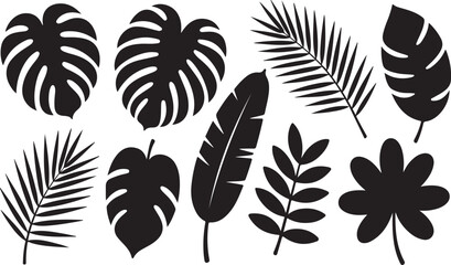 Fototapeta premium Monstera palm banana and clover leaves monstera leaves palm fronds