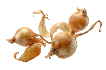 PNG Three whole dried onions with papery peels on black background