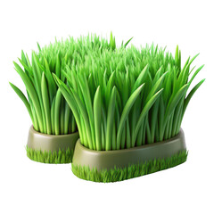Two bowls of fresh green grass for pets on a black background