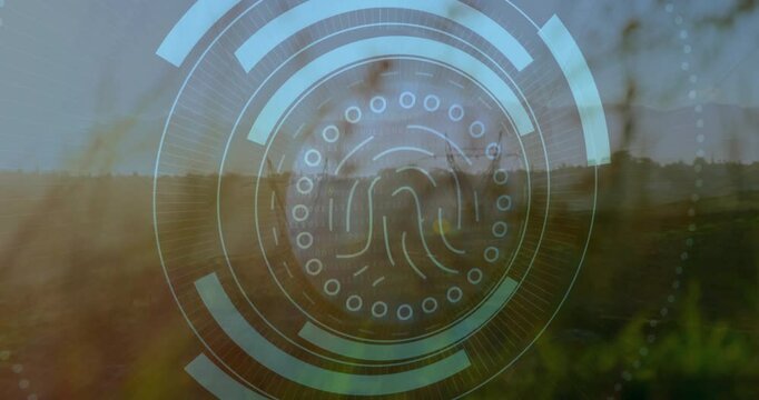 Sun flare peeking through grasses activating digital interface expanding rings scanning fingerprint