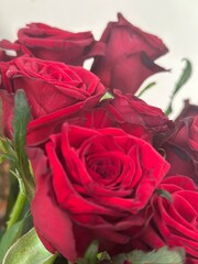 bouquet of red roses