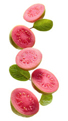 Fresh pink guava slices with leaves falling isolated on transparent white background, clipping path