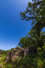 An abandoned stone structure overgrown with vegetation