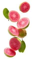Fresh pink guava slices with leaves falling isolated on transparent white background, clipping path