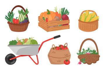Set of Vegetables in Basket, Crate and Wheelbarrow