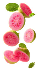 Fresh pink guava slices with leaves falling isolated on transparent white background, clipping path
