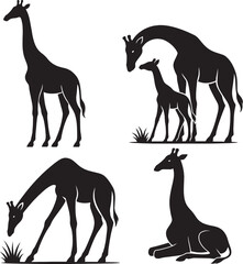 Graceful Giraffe Silhouettes Standing, Grazing, Resting, and Mother with Calf — Majestic Wildlife and Tender Moments