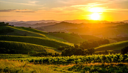 Sunset over rolling vineyards.