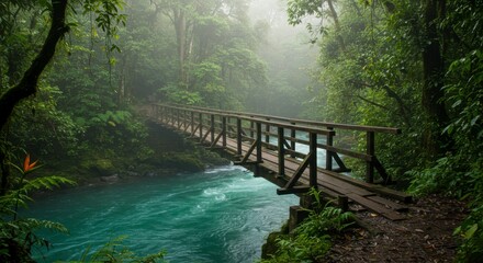 Misty jungle bridge over turquoise stream