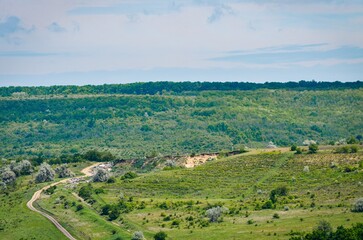 Obraz premium A large, open field with a dirt road running through it. The road is surrounded by trees and grass, and there are a few cows grazing in the distance. The scene is peaceful and serene