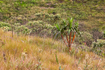 View from the top of fields at Espinhaço mountains, Minas gerais, Brazil 