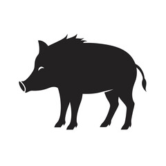 Wild Boar Sniffing Ground In Silhouette