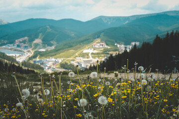 Scenic view of mountain resort with forests, hills and cloudy sky. Buildings and ski slopes visible...