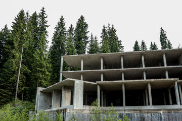 Abandoned concrete building under construction surrounded by pine forest. Unfinished multi-storey...