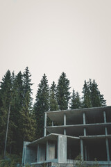 Unfinished concrete building surrounded by pine trees in forest. Abandoned construction project...